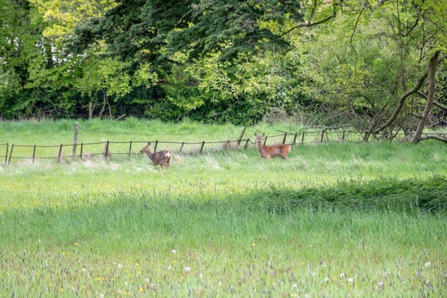 وارمينستر Home Farm Boreham المظهر الخارجي الصورة
