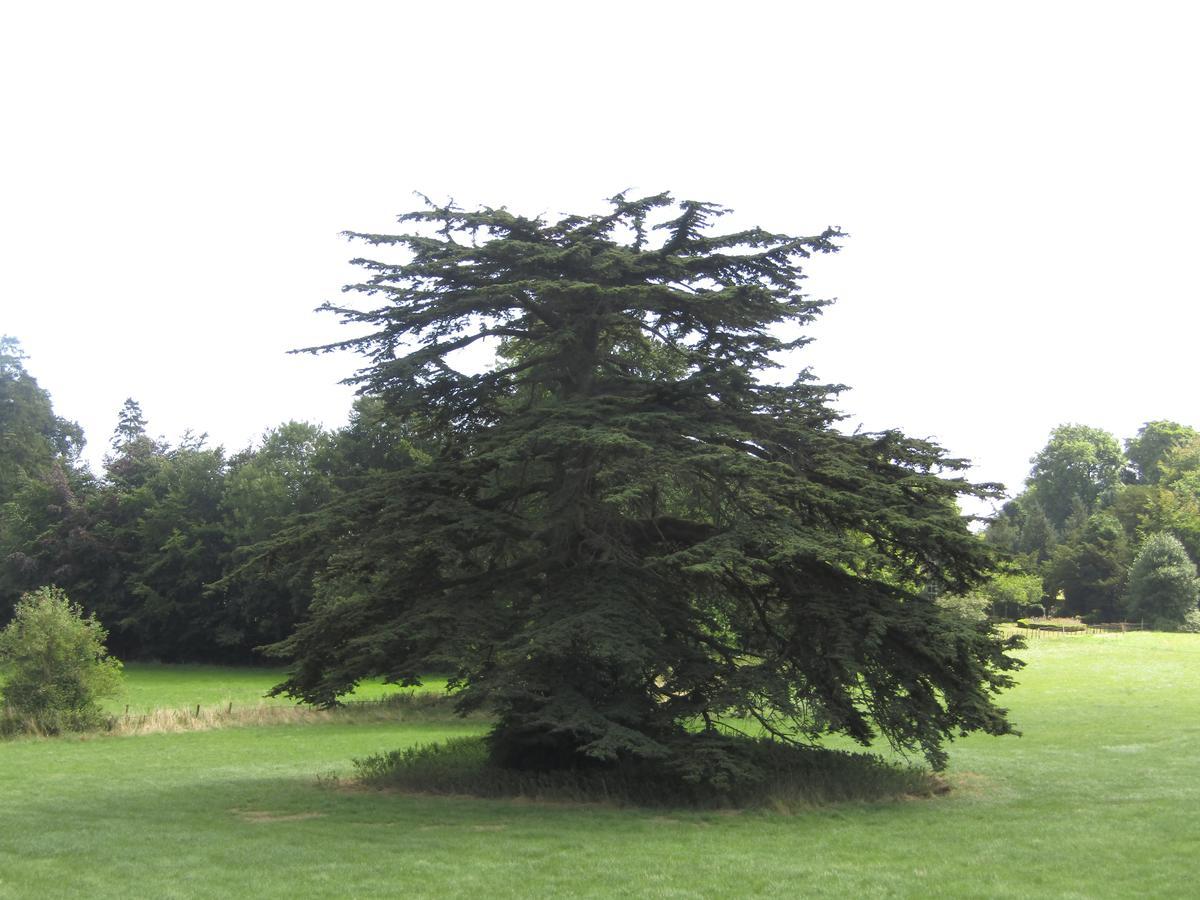 وارمينستر Home Farm Boreham المظهر الخارجي الصورة