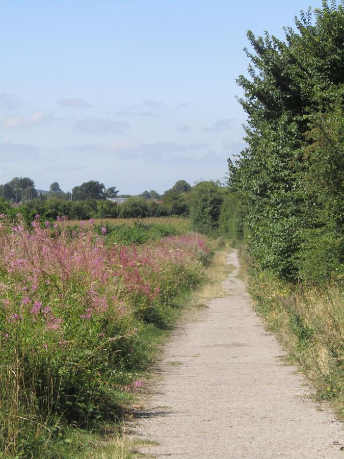 وارمينستر Home Farm Boreham المظهر الخارجي الصورة